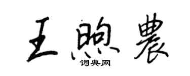 王正良王煦农行书个性签名怎么写