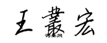 王正良王丛宏行书个性签名怎么写