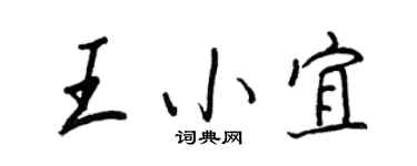 王正良王小宜行书个性签名怎么写