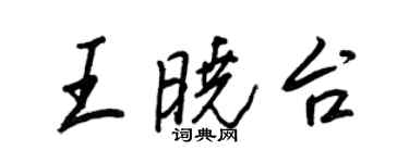 王正良王晓台行书个性签名怎么写