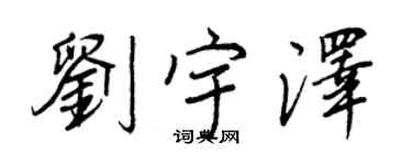 王正良刘宇泽行书个性签名怎么写