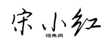 王正良宋小红行书个性签名怎么写