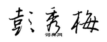 王正良彭秀梅行书个性签名怎么写