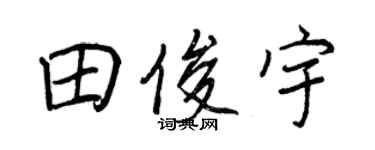 王正良田俊宇行书个性签名怎么写