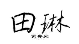 王正良田琳行书个性签名怎么写