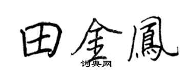 王正良田金凤行书个性签名怎么写