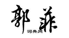 胡问遂郭菲行书个性签名怎么写
