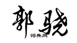 胡问遂郭骁行书个性签名怎么写