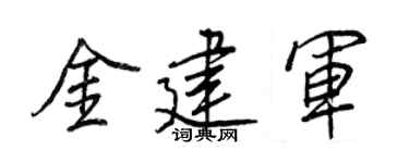 王正良金建军行书个性签名怎么写