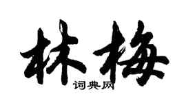 胡问遂林梅行书个性签名怎么写