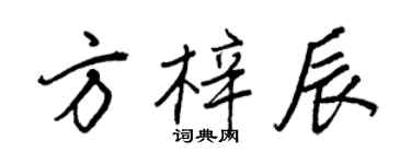 王正良方梓辰行书个性签名怎么写