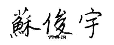 王正良苏俊宇行书个性签名怎么写