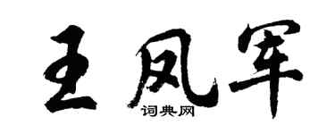 胡问遂王凤军行书个性签名怎么写