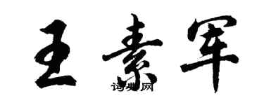 胡问遂王素军行书个性签名怎么写