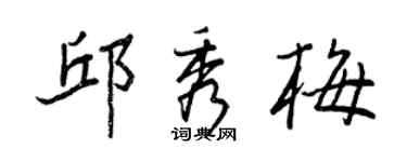 王正良邱秀梅行书个性签名怎么写