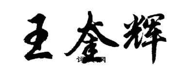 胡问遂王奎辉行书个性签名怎么写