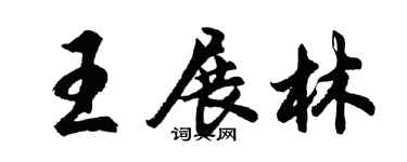 胡问遂王展林行书个性签名怎么写