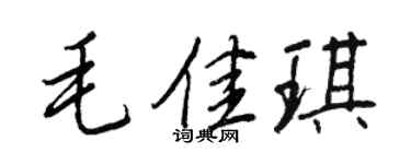 王正良毛佳琪行书个性签名怎么写
