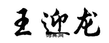 胡问遂王迎龙行书个性签名怎么写