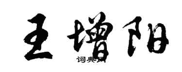 胡问遂王增阳行书个性签名怎么写