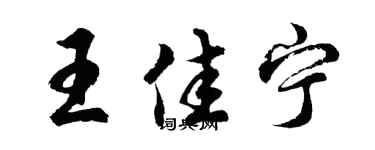 胡问遂王佳宁行书个性签名怎么写