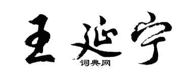 胡问遂王延宁行书个性签名怎么写