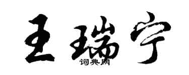 胡问遂王瑞宁行书个性签名怎么写