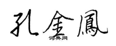 王正良孔金凤行书个性签名怎么写