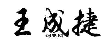 胡问遂王成捷行书个性签名怎么写