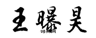 胡问遂王曝昊行书个性签名怎么写