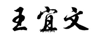 胡问遂王宜文行书个性签名怎么写