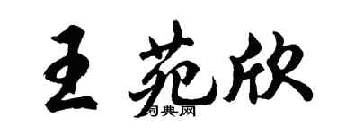 胡问遂王苑欣行书个性签名怎么写