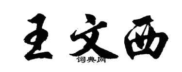 胡问遂王文西行书个性签名怎么写