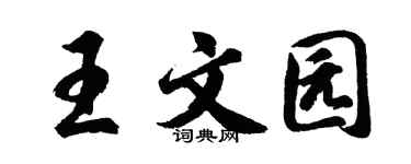 胡问遂王文园行书个性签名怎么写