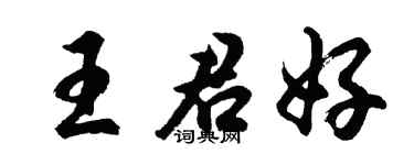 胡问遂王君好行书个性签名怎么写