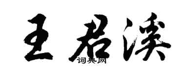 胡问遂王君溪行书个性签名怎么写