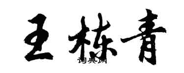 胡问遂王栋青行书个性签名怎么写
