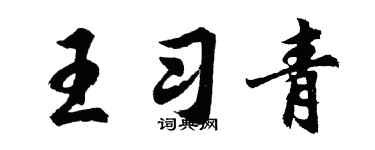 胡问遂王习青行书个性签名怎么写