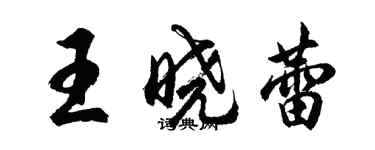 胡问遂王晓蕾行书个性签名怎么写
