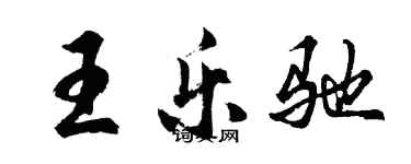 胡问遂王乐驰行书个性签名怎么写