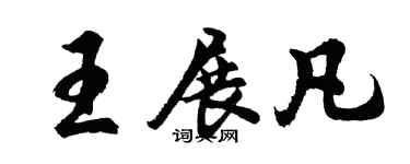 胡问遂王展凡行书个性签名怎么写