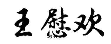 胡问遂王慰欢行书个性签名怎么写
