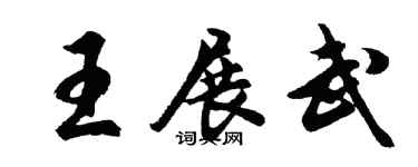 胡问遂王展武行书个性签名怎么写