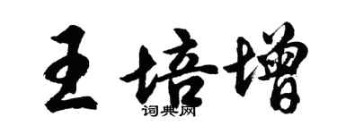 胡问遂王培增行书个性签名怎么写