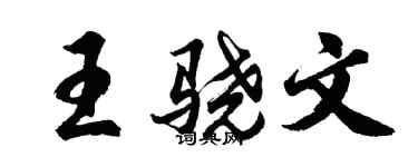 胡问遂王骁文行书个性签名怎么写