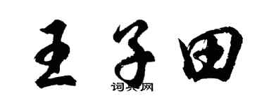 胡问遂王子田行书个性签名怎么写
