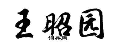 胡问遂王昭园行书个性签名怎么写