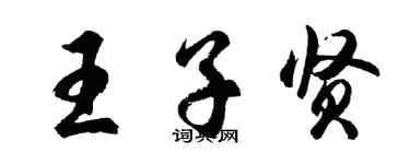 胡问遂王子贤行书个性签名怎么写