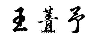 胡问遂王菁予行书个性签名怎么写
