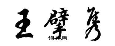 胡问遂王擘隽行书个性签名怎么写
